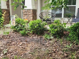 Cleanups by Gabriel Gray for Michele P. in Indian Trail, NC