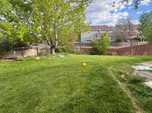 Cynthia M.'s Lawn Care service result