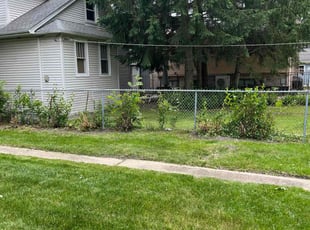 Cleanups by Harry Russell for Ted B. in Park Ridge, IL