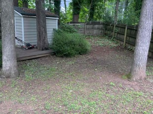 Leaf Removal by Francisco Sanchez-Garcia for Sandra N. in Cary, NC