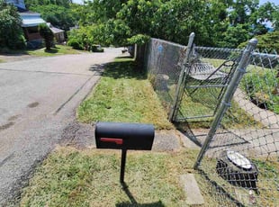 Katherine G.'s Yard Cutting service result