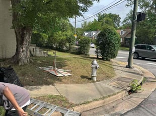 Bush Trimming by D Mitchell for Hunter S. in Richmond, VA