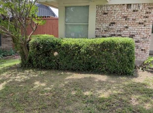 Bush Trimming by Elizabeth Cruz for Hayden W. in Garland, TX