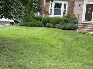 Steven R.'s Grass Cutting service result