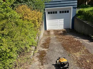 Bush Trimming by Nouri Abdelkader for Max W. in Seattle, WA