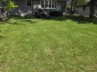 Cleanups by Ryan Reitzel for Jim S. in Fridley, MN