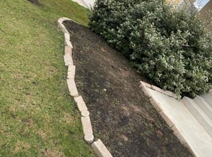 Weeding by Rosa Reyes for Christopher B. in Austin, TX