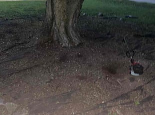 Cleanups by Tywuan Williams for Annette C. in Indianapolis, IN