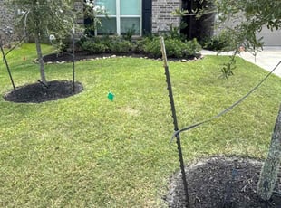 Weeding by Roberto Villalobos for Chris C. in Katy, TX