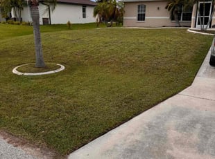 Tranell P.'s Lawn Maintenance service result