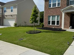 Toshiharu T.'s Lawn Mowing service result