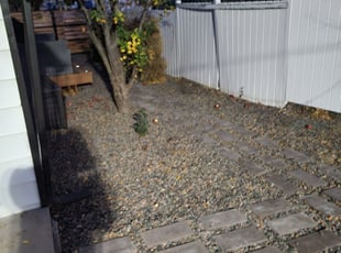 Leaf Removal by Kevin Johnson for Jordan K. in Edgewater, CO