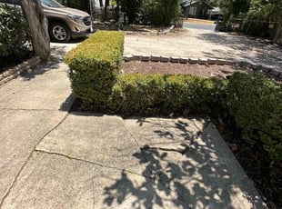Bush Trimming by Lacy Dixon for Wayne M. in San Antonio, TX