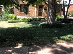 Eric Y.'s Lawn Care service result