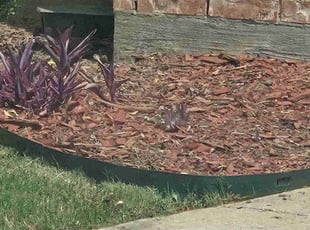 Weeding by Michael Gill for Sylvia B. in Lewisville, TX