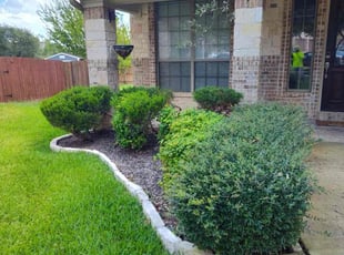 Mark P.'s Lawn Mowing service result