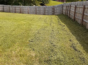 Cleanups by Michael Duggin for Taylor M. in Hendersonville, TN