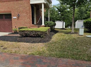 Bush Trimming by Terrence Hawkins for Berthie L. in Upper Marlboro, MD