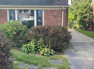 Bush Trimming by Gregory Williams for Thomas A. in Grosse Pointe Farms, MI