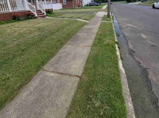 Marianne H.'s Lawn Care service result