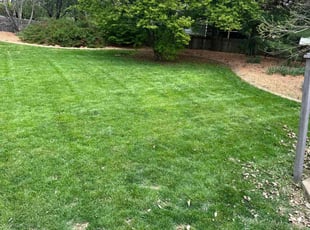 Sheila M.'s Lawn Mowing Service service result