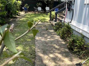 Bush Trimming by Ronald Butler for Sarah S. in Charleston, SC