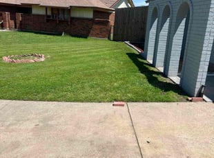 Tracy F.'s Lawn Mowing service result
