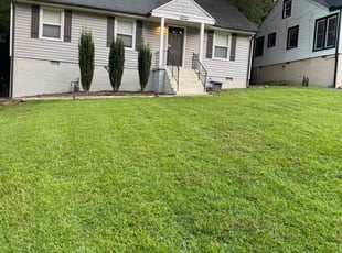 Yolanda H.'s Yard Cutting service result