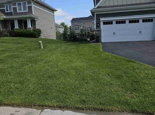 Le T.'s Lawn Service service result