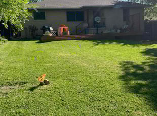 Jeffrey G.'s Yard Cutting service result