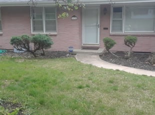 Bush Trimming by Julio Almestica for Margo F. in Kansas City, MO