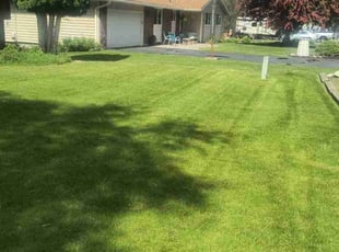 Krista D.'s Lawn Mowing service result