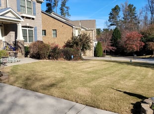 Bush Trimming by Jamil Lucy for Rashed C. in Marietta, GA