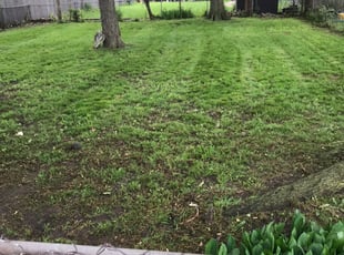 Cleanups by Ross Phina for Jessica P. in Madison Heights, MI