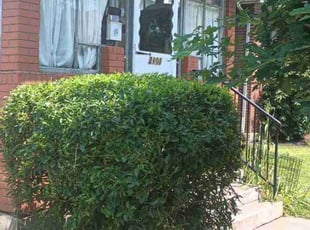 Bush Trimming by Chris Slone for Daisy R. in Louisville, KY