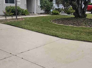 Alvie A.'s Lawn Care service result