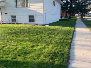 Jeffrey R.'s Lawn Mowing service result