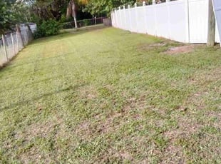 Robert B.'s Grass Cutting service result