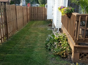 Bush Trimming by Kelvin Grove for Theresa P. in Cleveland, OH