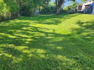 Michael B.'s Lawn Mowing service result