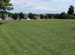 Julie E.'s Yard Cutting service result