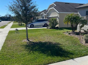 Michael S.'s Lawn Mowing service result