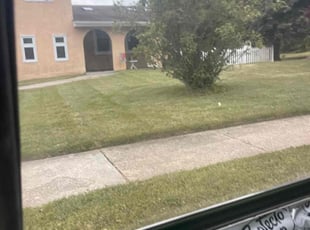 Candice W.'s Lawn Service service result