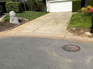 Patricia N.'s Lawn Service service result