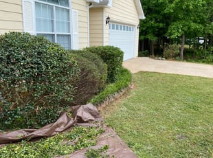 Bush Trimming by James Maddox for Lee B. in Locust Grove, GA