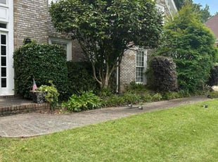 Bush Trimming by Thytrone McCord for Catherine T. in Lilburn, GA