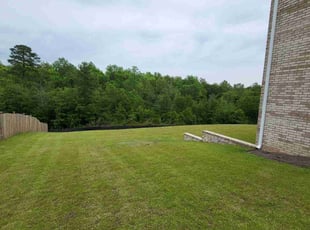 Rhonda G.'s Yard Cutting service result