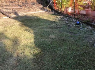 Cleanups by Ronald Grant for Jeremy B. in Roseville, CA