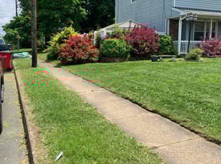 Stephanie B.'s Lawn Mowing service result