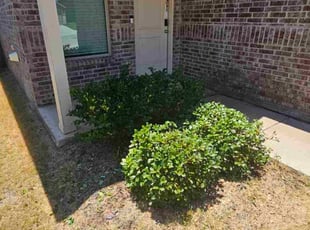 Weeding by Ernest Howard for Richard B. in Pilot Point, TX